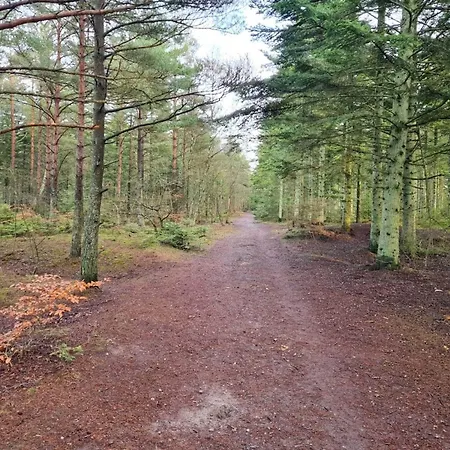 8 Person In Albaek-by Traum Σπίτι διακοπών